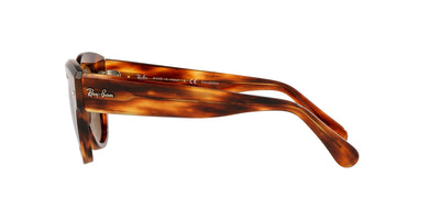 Ray-Ban Roundabout RB2192 Light-Tortoise-Brown-Polarised #colour_light-tortoise-brown-polarised