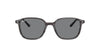 Ray-Ban Leonard RB2193 Grey/Grey #colour_grey-grey