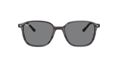 Ray-Ban Leonard RB2193 Grey/Grey #colour_grey-grey