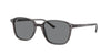 Ray-Ban Leonard RB2193 Grey/Grey #colour_grey-grey