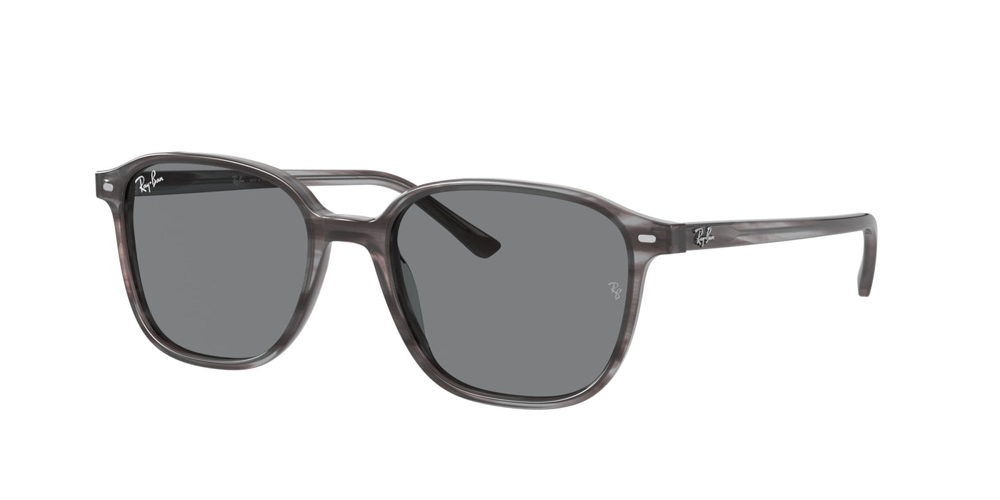 Ray-Ban Leonard RB2193 Grey/Grey #colour_grey-grey