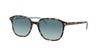 Ray-Ban Leonard RB2193 Dark Tortoise/Blue Gradient #colour_dark-tortoise-blue-gradient