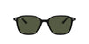 Ray-Ban Leonard RB2193 Black/Green #colour_black-green