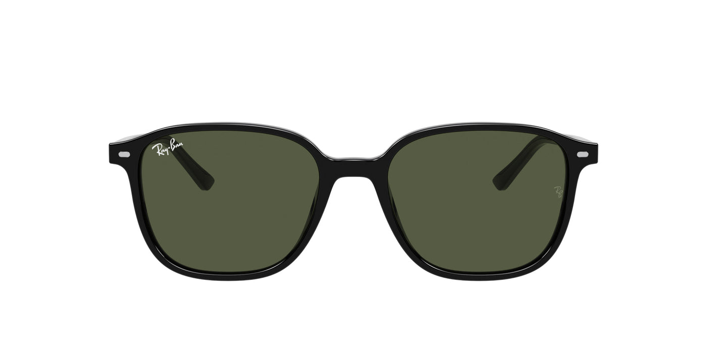 Ray-Ban Leonard RB2193 Black/Green #colour_black-green