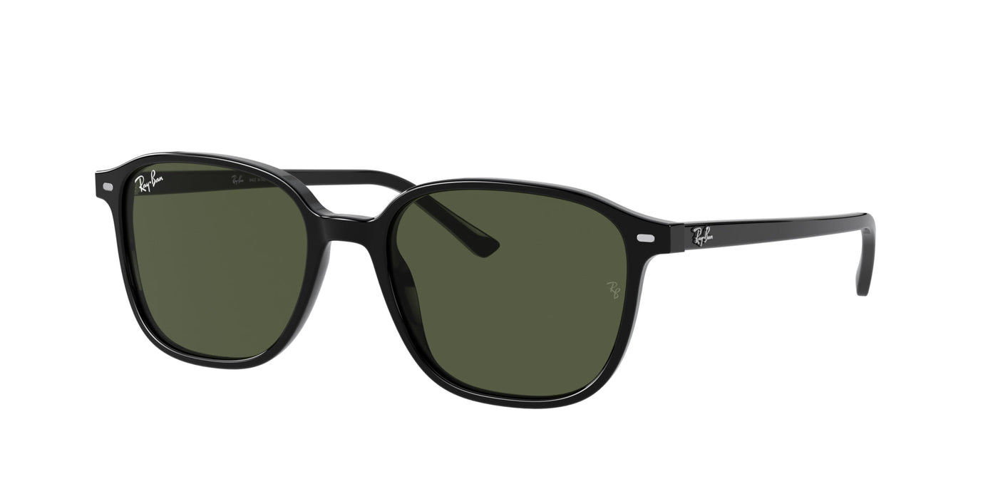 Ray-Ban Leonard RB2193 Black/Green #colour_black-green