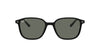 Ray-Ban Leonard RB2193 Black/Green Polarised #colour_black-green-polarised