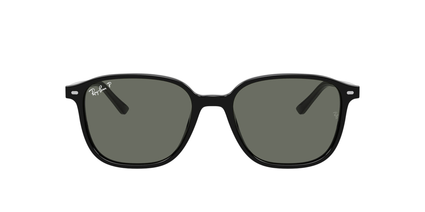 Ray-Ban Leonard RB2193 Black/Green Polarised #colour_black-green-polarised