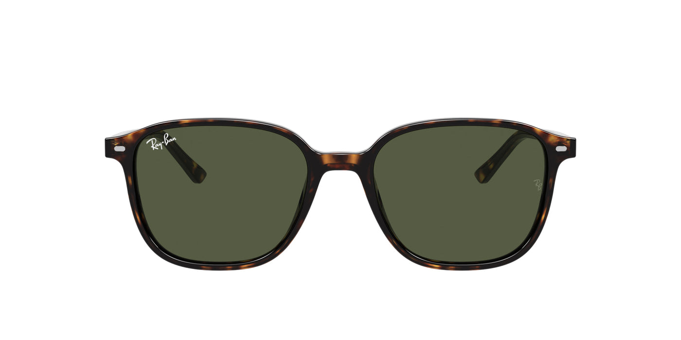 Ray-Ban Leonard RB2193 Dark Tortoise/Green #colour_dark-tortoise-green