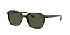 Ray-Ban Leonard RB2193 Dark Tortoise/Green #colour_dark-tortoise-green