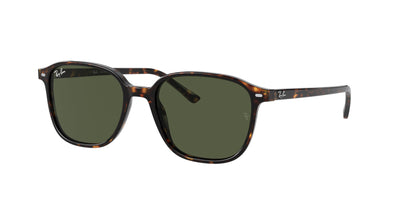 Ray-Ban Leonard RB2193 Dark Tortoise/Green #colour_dark-tortoise-green