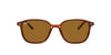 Ray-Ban Leonard RB2193 Dark Tortoise/Brown #colour_dark-tortoise-brown