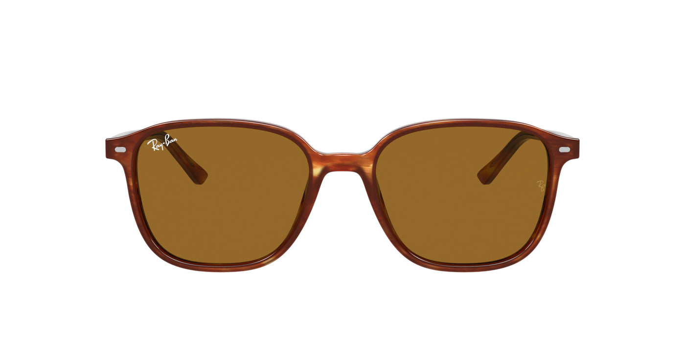 Ray-Ban Leonard RB2193 Dark Tortoise/Brown #colour_dark-tortoise-brown