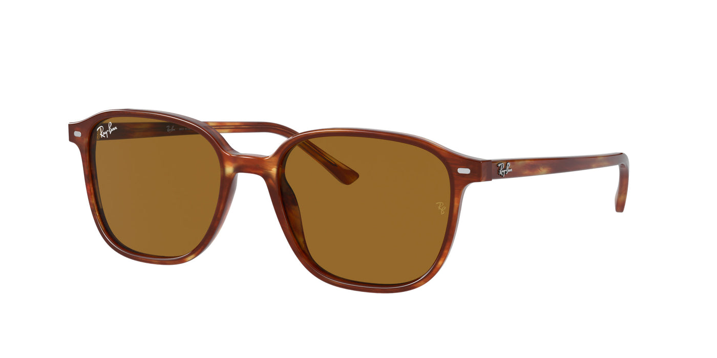 Ray-Ban Leonard RB2193 Dark Tortoise/Brown #colour_dark-tortoise-brown