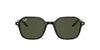 Ray-Ban John RB2194 Dark Tortoise/Green #colour_dark-tortoise-green