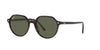 Ray-Ban Thalia RB2195 Dark Tortoise/Green #colour_dark-tortoise-green