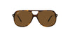 Ray-Ban Bill RB2198 Dark Tortoise/Brown Polarised #colour_dark-tortoise-brown-polarised