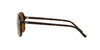 Ray-Ban Bill RB2198 Dark Tortoise/Brown Polarised #colour_dark-tortoise-brown-polarised