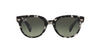 Ray-Ban Orion RB2199 Grey/Grey Gradient #colour_grey-grey-gradient