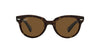 Ray-Ban Orion RB2199 Dark Tortoise/Brown Polarised #colour_dark-tortoise-brown-polarised