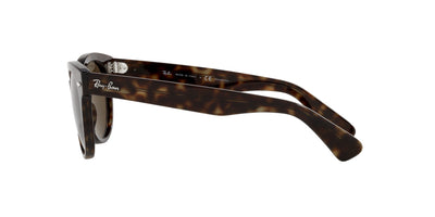 Ray-Ban Orion RB2199 Dark Tortoise/Brown Polarised #colour_dark-tortoise-brown-polarised