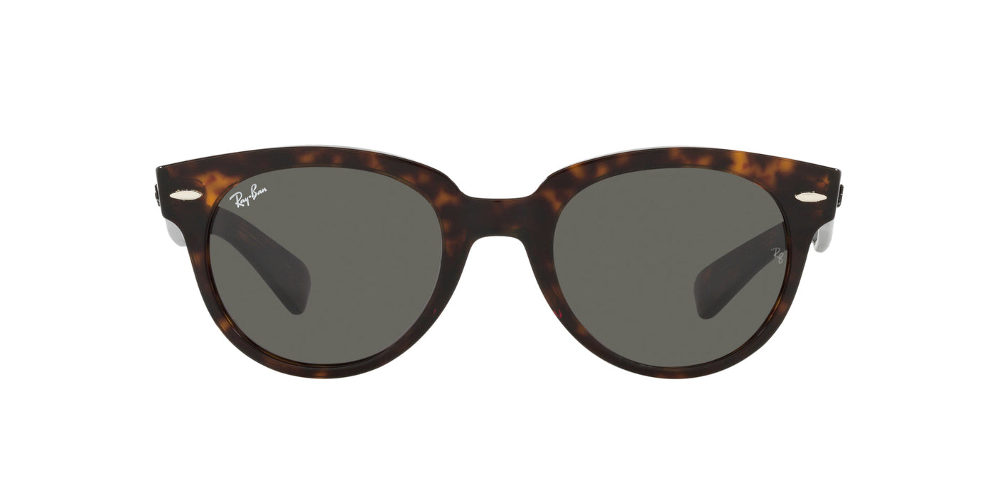 Ray-Ban Orion RB2199 Dark Tortoise/Grey #colour_dark-tortoise-grey