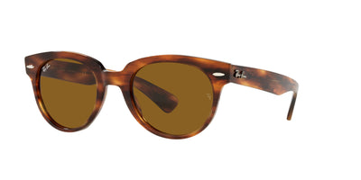 Ray-Ban Orion RB2199 Light Tortoise/Brown #colour_light-tortoise-brown