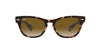 Ray-Ban Laramie RB2201 Pink/Brown Gradient #colour_pink-brown-gradient