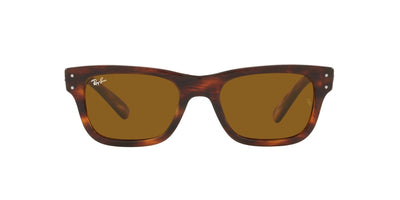 Ray-Ban Mr Burbank RB2283 Light Tortoise/Brown #colour_light-tortoise-brown