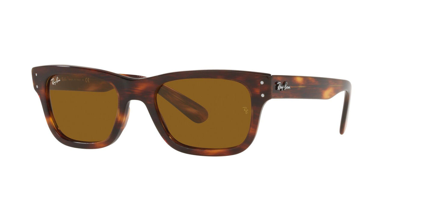 Ray-Ban Mr Burbank RB2283 Light Tortoise/Brown #colour_light-tortoise-brown