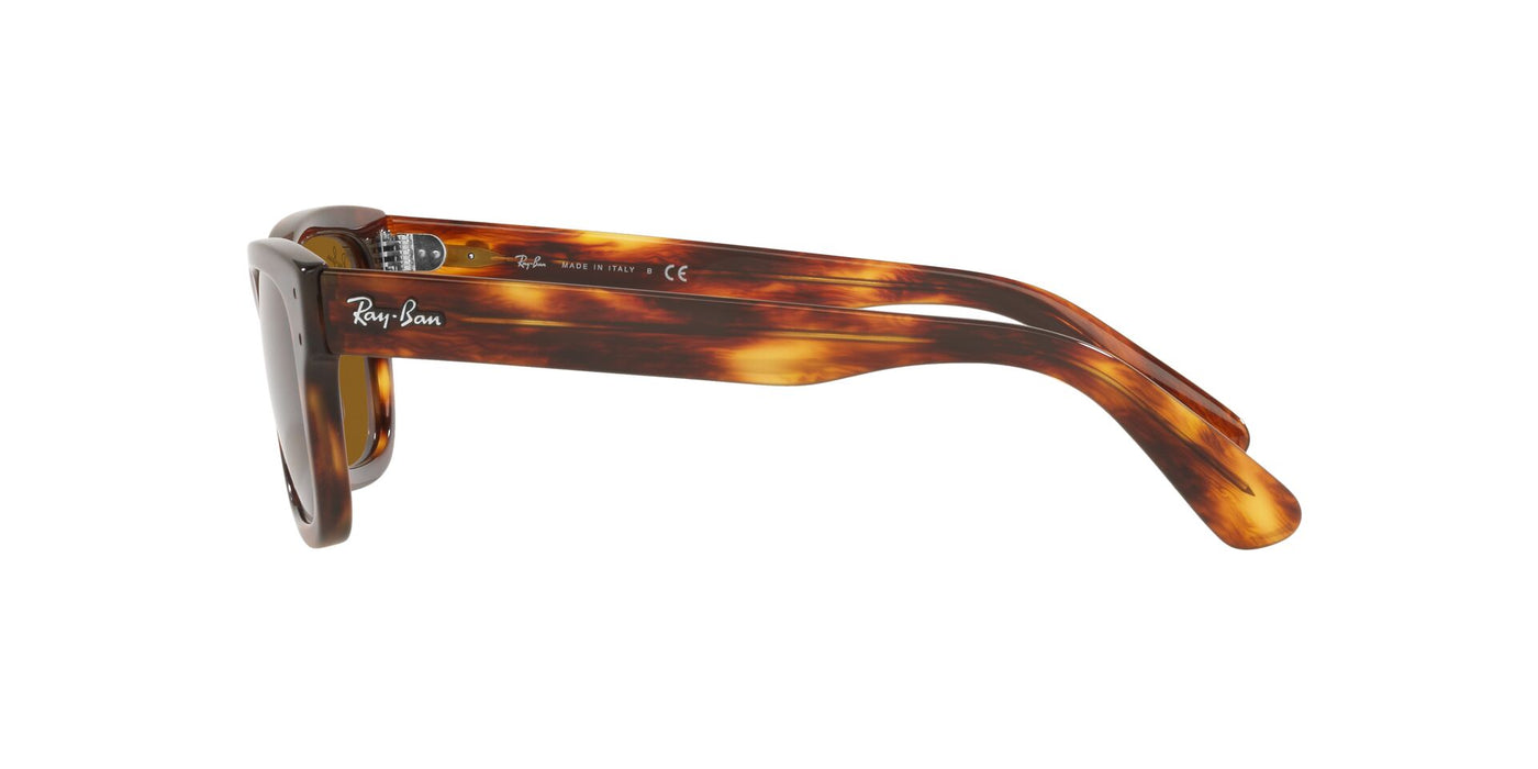 Ray-Ban Mr Burbank RB2283 Light Tortoise/Brown #colour_light-tortoise-brown