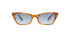 Ray-Ban Lady Burbank RB2299 Dark Tortoise/Blue Gradient #colour_dark-tortoise-blue-gradient