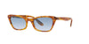 Ray-Ban Lady Burbank RB2299 Dark Tortoise/Blue Gradient #colour_dark-tortoise-blue-gradient