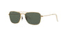 Ray-Ban Caravan RB3136 Gold/Green 1 #colour_gold-green-1