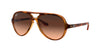 Ray-Ban Cats 5000 RB4125 Light-Tortoise-Pink-Gradient #colour_light-tortoise-pink-gradient