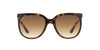 Ray-Ban Cats 1000 RB4126 Light-Tortoise-Brown #colour_light-tortoise-brown