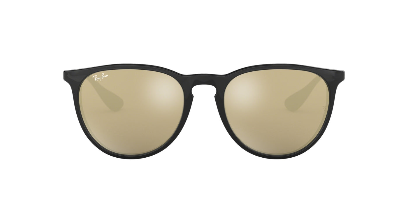 Ray-Ban Erika RB4171 Black/Brown #colour_black-brown