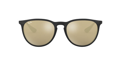 Ray-Ban Erika RB4171 Black/Brown #colour_black-brown