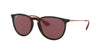 Ray-Ban Erika RB4171 Dark Tortoise/Violet #colour_dark-tortoise-violet