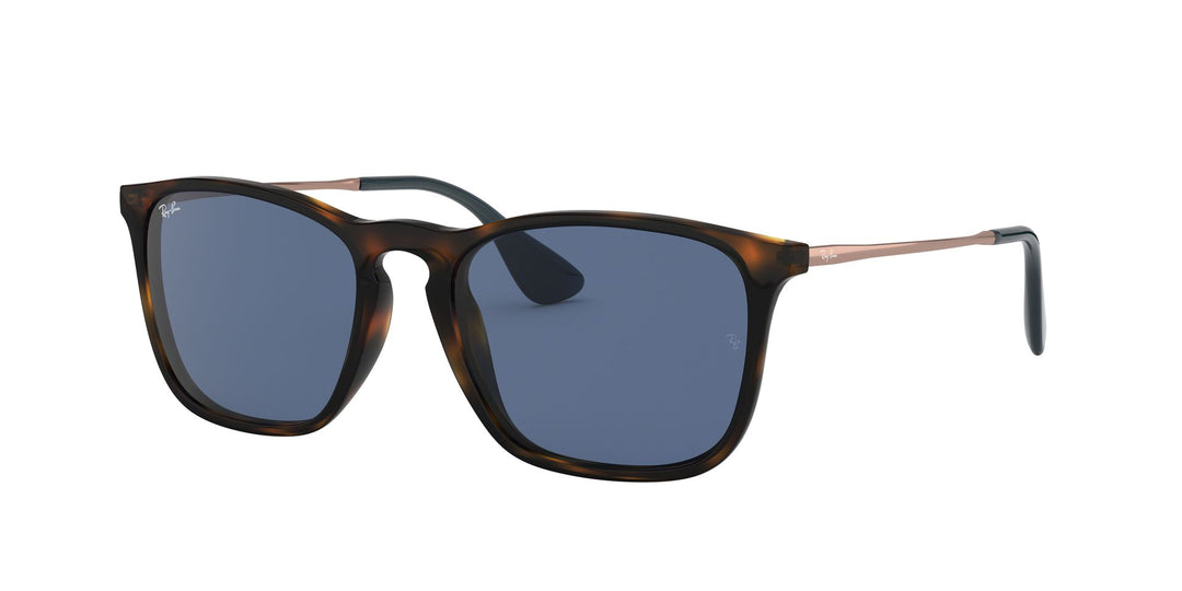 Ray-Ban Chris RB4187 Sunglasses | Fashion Eyewear US