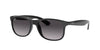 Ray-Ban Andy RB4202 Black/Grey Gradient #colour_black-grey-gradient