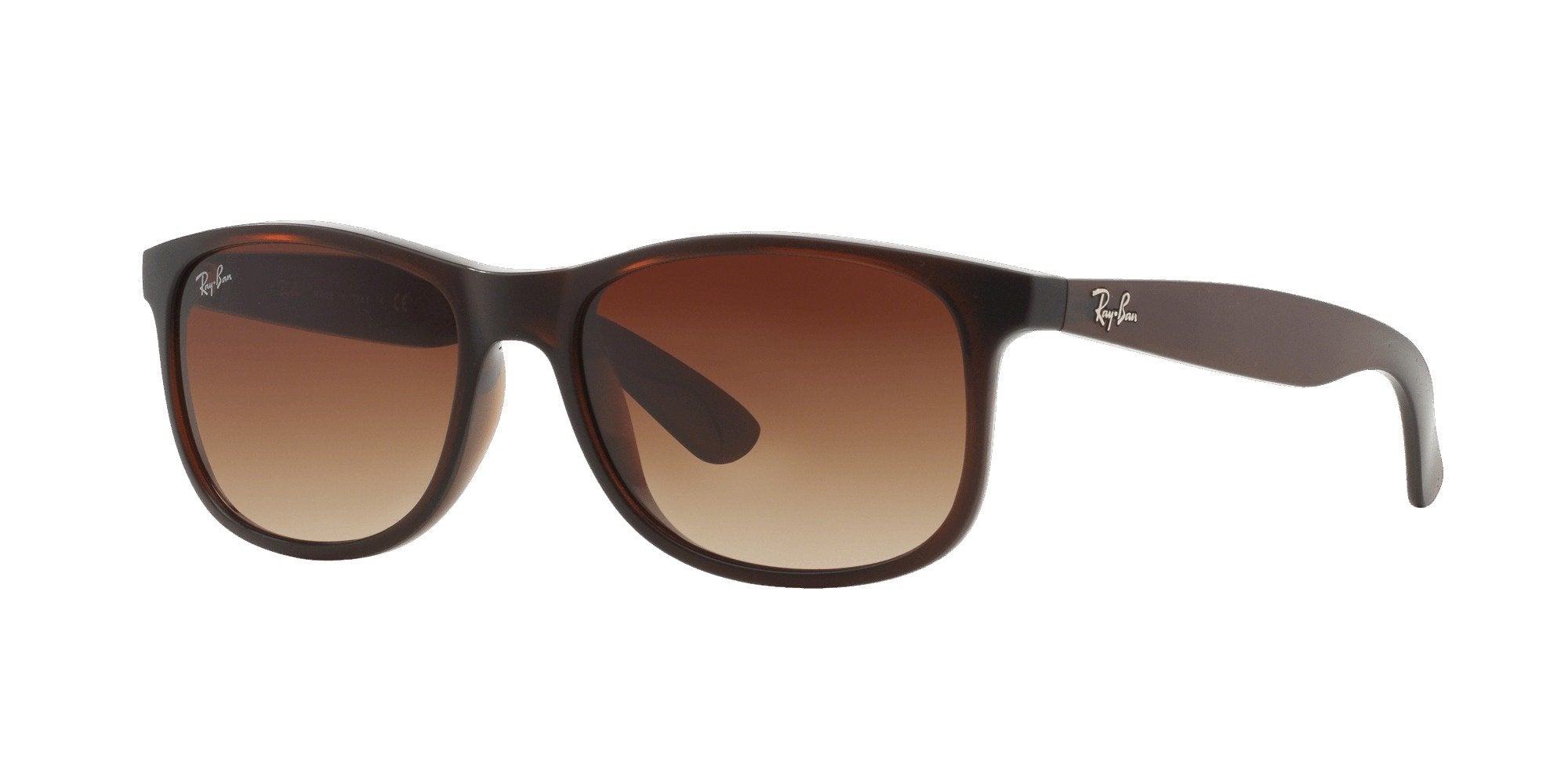 Ray-Ban Andy RB4202 Sunglasses | Fashion Eyewear US
