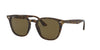 Ray-Ban RB4258 Dark Tortoise/Brown 1 #colour_dark-tortoise-brown-1