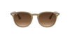 Ray-Ban RB4259 Brown-Brown #colour_brown-brown