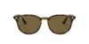 Ray-Ban RB4259 Dark Tortoise/Brown 1 #colour_dark-tortoise-brown-1