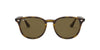 Ray-Ban RB4259 Dark Tortoise/Brown 1 #colour_dark-tortoise-brown-1