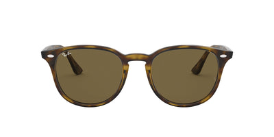 Ray-Ban RB4259 Dark Tortoise/Brown 1 #colour_dark-tortoise-brown-1