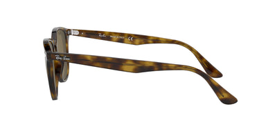 Ray-Ban RB4259 Dark Tortoise/Brown 1 #colour_dark-tortoise-brown-1