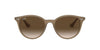 Ray-Ban RB4305 Brown-Brown-Gradient #colour_brown-brown-gradient