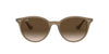 Ray-Ban RB4305 Brown-Brown-Gradient #colour_brown-brown-gradient