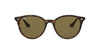 Ray-Ban RB4305 Dark-Tortoise-Brown #colour_dark-tortoise-brown